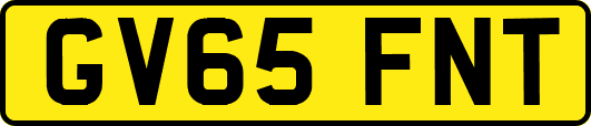 GV65FNT
