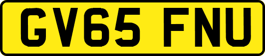 GV65FNU