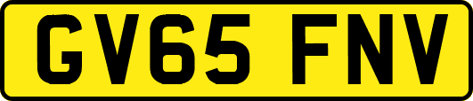 GV65FNV