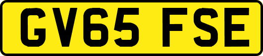 GV65FSE