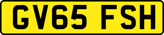 GV65FSH