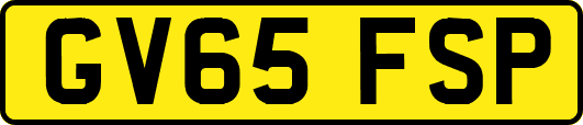 GV65FSP