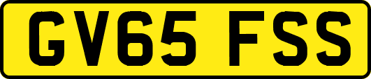 GV65FSS
