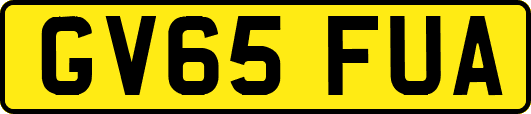 GV65FUA
