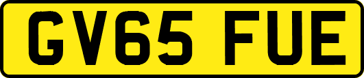 GV65FUE