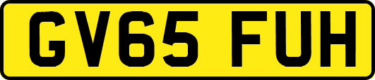 GV65FUH