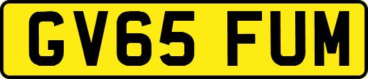 GV65FUM