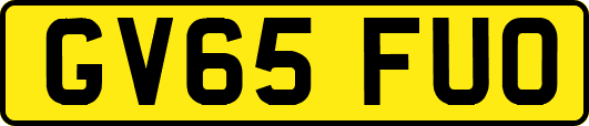 GV65FUO