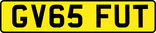 GV65FUT