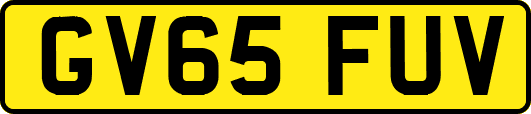 GV65FUV