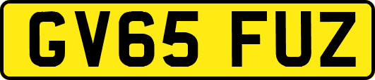 GV65FUZ