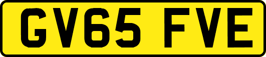 GV65FVE