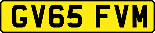 GV65FVM