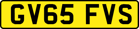 GV65FVS