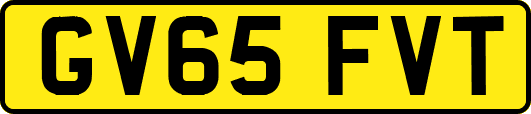 GV65FVT