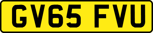 GV65FVU