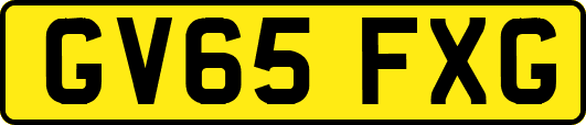 GV65FXG