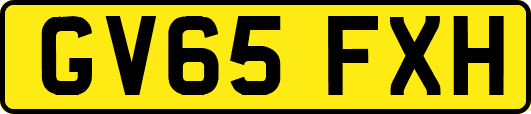 GV65FXH
