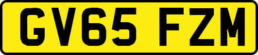 GV65FZM