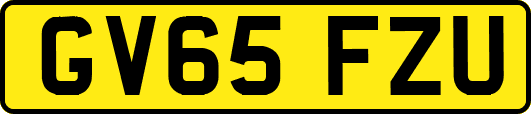 GV65FZU