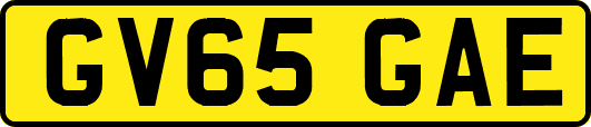 GV65GAE