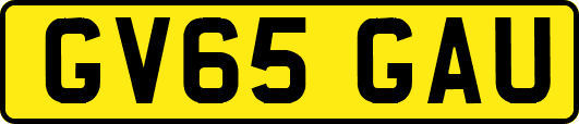 GV65GAU