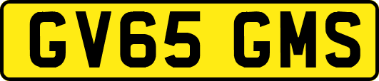 GV65GMS
