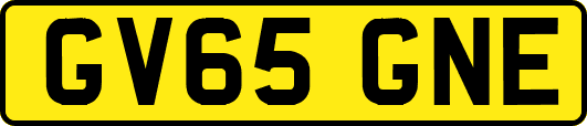 GV65GNE