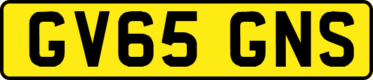 GV65GNS