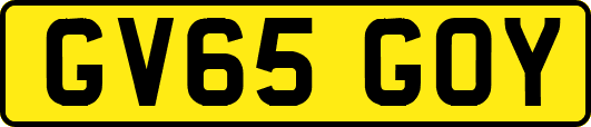 GV65GOY