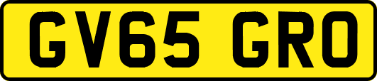 GV65GRO