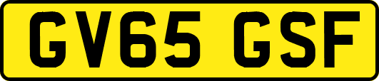 GV65GSF