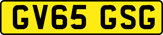 GV65GSG