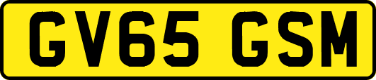 GV65GSM