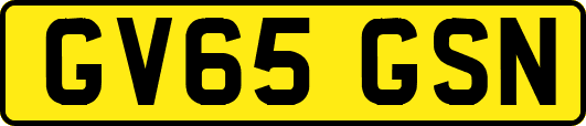 GV65GSN