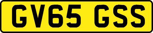 GV65GSS