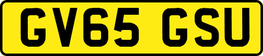 GV65GSU
