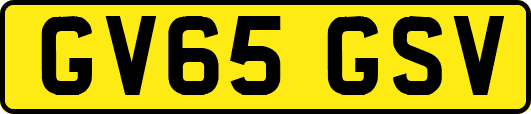 GV65GSV