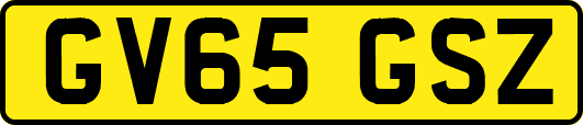 GV65GSZ