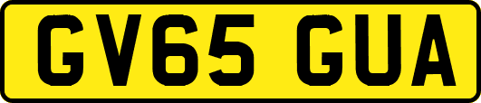 GV65GUA