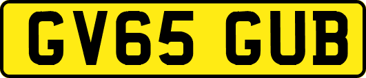 GV65GUB