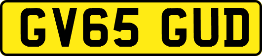 GV65GUD