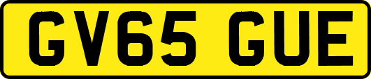 GV65GUE