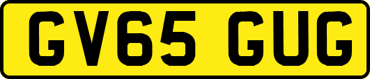 GV65GUG