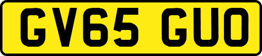 GV65GUO
