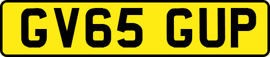 GV65GUP
