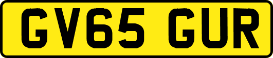 GV65GUR