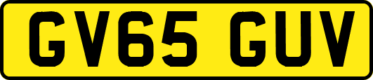 GV65GUV