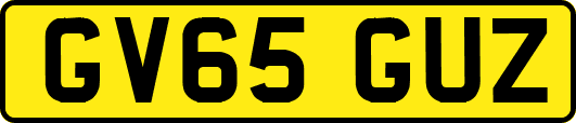 GV65GUZ