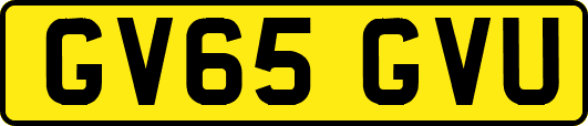 GV65GVU